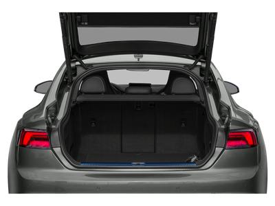 2019 Audi RS 5 Sportback 4DR SDN 2.9 QTRO